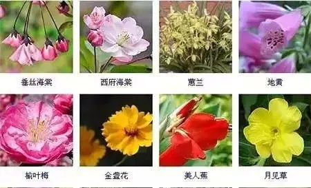 花这么多,值得收藏