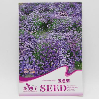 草花彩袋种子 彩包花卉种子【五色菊】阳台庭院种植 盆栽 家庭实用装 约30粒-宿迁市国豪园林工程提供草花彩袋种子 彩包花卉种子【五色菊】阳台庭院种植 盆栽 家庭实用装 约30粒的相关介绍、产品、服务、图片、价格宿迁市国豪园林工程、种苗、花卉种子、园艺用具、盆栽、绿化苗木