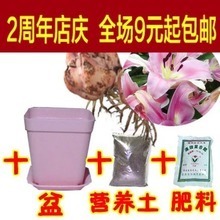 【蔷薇花种子】_绿植园艺价格_最新最全绿植园艺返利优惠_一淘网