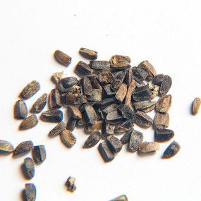 花卉种子益母草种子下载 7085363