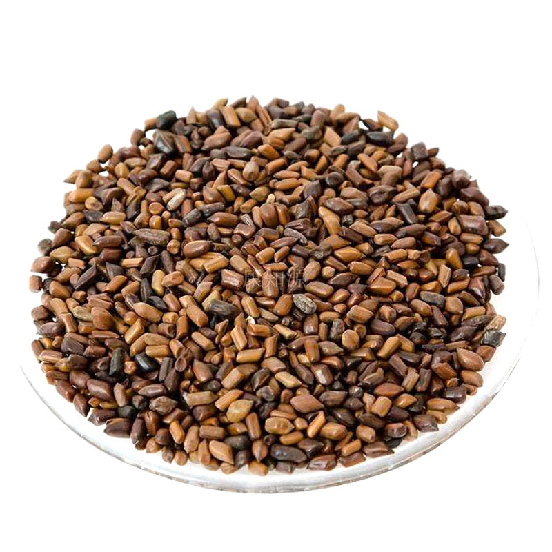 决明子种子 观赏和药用花卉种子花园庭院种植 全株可入药花卉种子