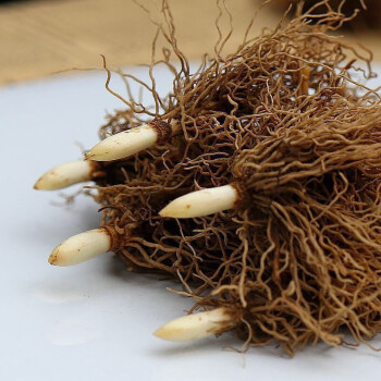 铃兰绿植某东分档排行:16款高中低档铃兰绿植