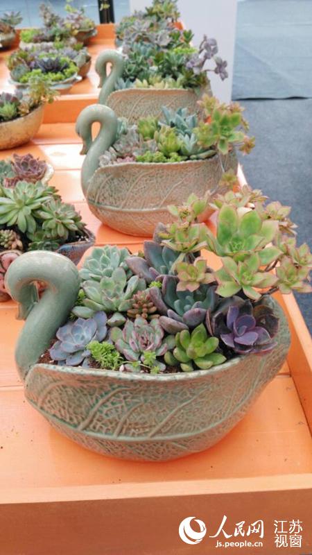 江苏沭阳花木节盛大开幕 精品盆景花卉与种子共展产业新貌