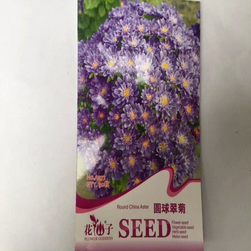 室内盆栽花卉种子 翠菊种子 50粒 阳台翠菊