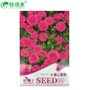 【小矮人翠菊 花卉种子阳台园艺休闲产品 彩色精品包装和纸上种芽苗菜种子无土栽培阳台种菜荞麦萝卜空心菜双维藤小麦种子 阳台种菜 豌豆500g哪个好】小矮人翠菊 花卉种子阳台园艺休闲产品 彩色精品包装和纸上种芽苗菜种子无土栽培阳台种菜荞麦萝卜空心菜双维藤小麦种子 阳台种菜 豌豆500g有什么区别-商品比较-